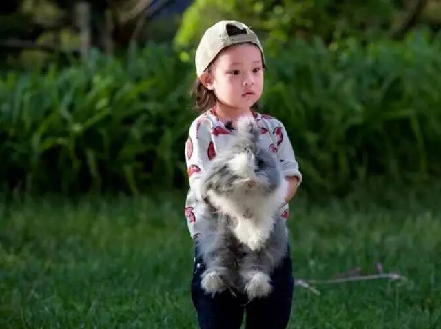 宠物篇-兔子1：想不想养一只甜馨同款的小兔兔呢~来来来~这里有大量萌兔奉上~