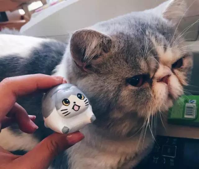 南锣最美胡同,北京南锣鼓巷胡同哪些好吃又便宜