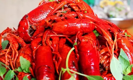 武汉音乐啤酒节,武汉客厅音乐