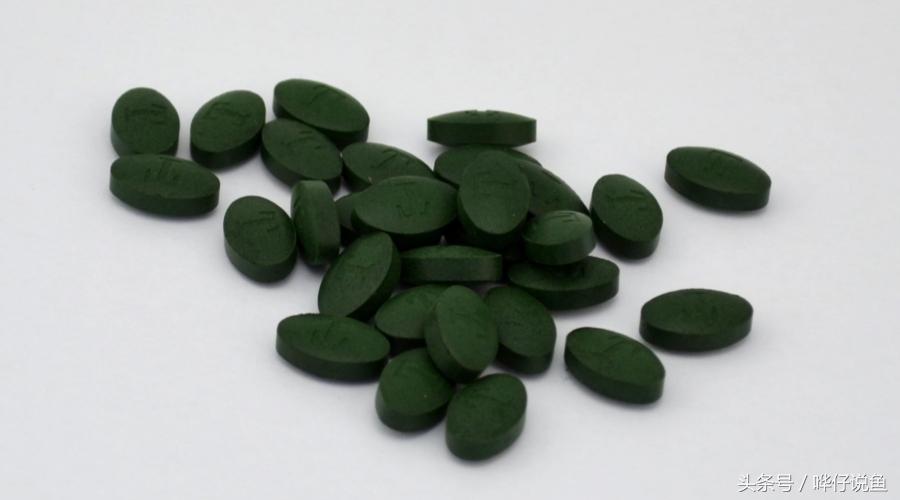 奇葩鱼友偷偷把老婆的螺旋藻丢进鱼缸，一个月后，宠物鱼变得