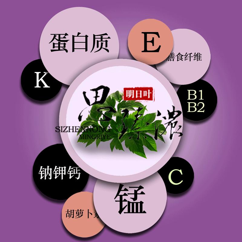 明日叶简介,明日叶功效