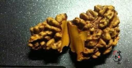 你手中的金刚菩提是真的吗？看金刚菩提真假鉴别