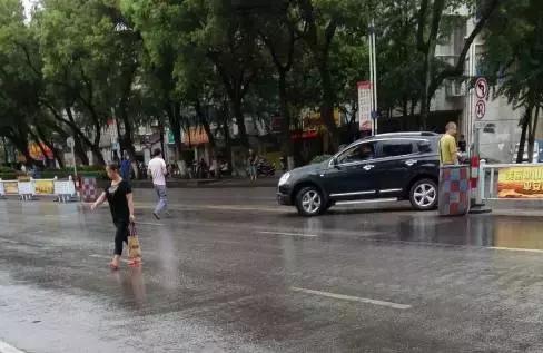 桂C17297等车主！你们交通违法被举报并处罚了，请自律！