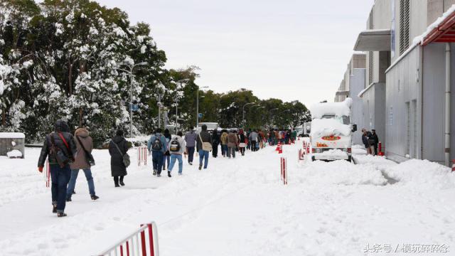 世界上最大的模型手办,上海wf手办展2023会场限定模型