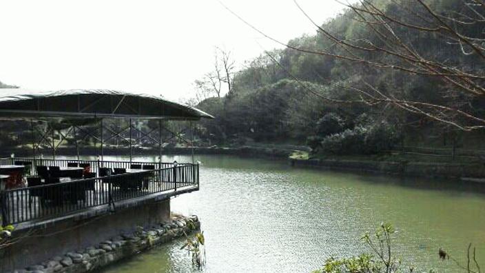 长沙值得吃的湘菜馆,长沙的湘菜特好吃