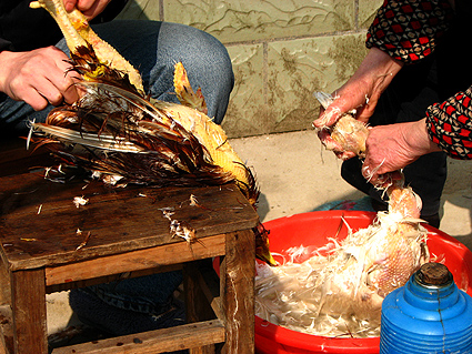 醋都有哪些小妙用,醋的妙用你知道多少