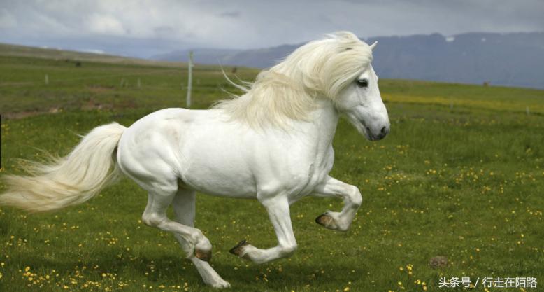 麦当劳为什么在冰岛,麦当劳退出冰岛市场根本原因