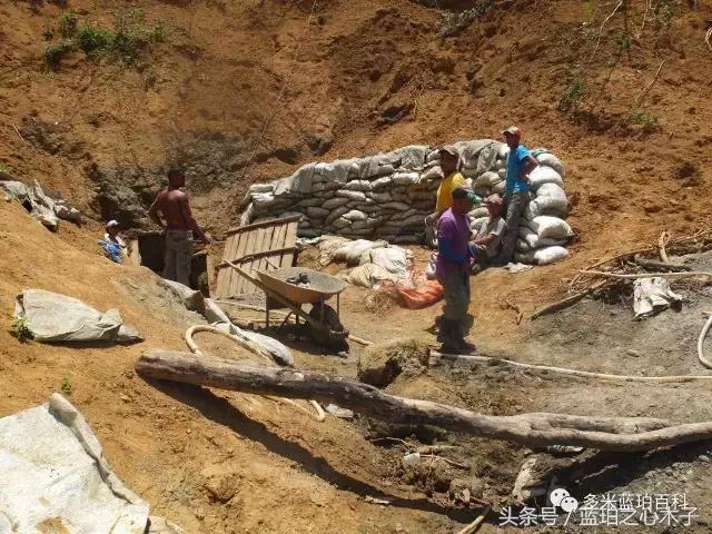 蓝珀买家的8大误区！快来看看你有没有？