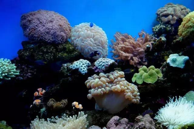 海底是个什么什么的世界,海底是个怎样的世界它有什么秘密