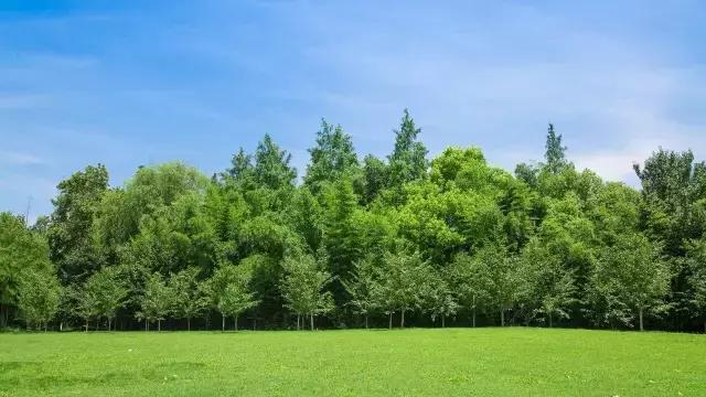 高温下的上海城市,上海40度以上高温