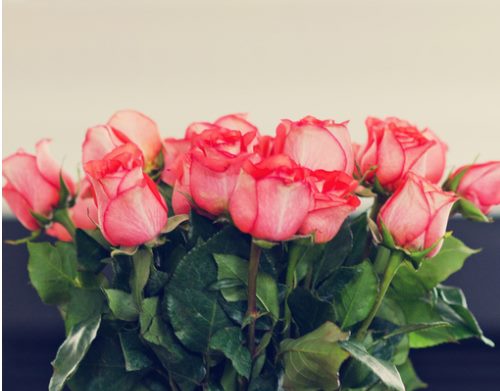 有文字的背景图正能量,正能量意境文字图片