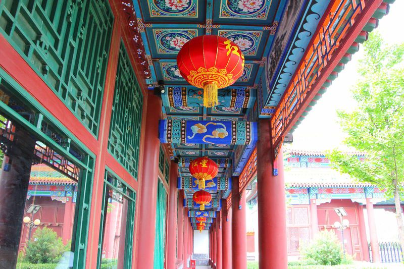 青山绿水间自由的飞翔,青山绿水放飞心情拥抱大自然