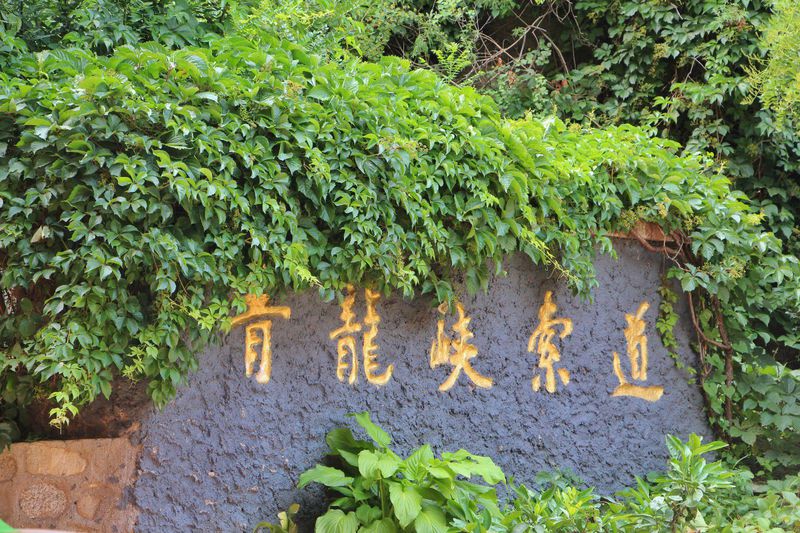 青山绿水间自由的飞翔,青山绿水放飞心情拥抱大自然