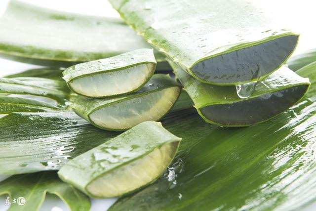 芦荟胶修复晒伤推荐,芦荟胶防晒修复推荐