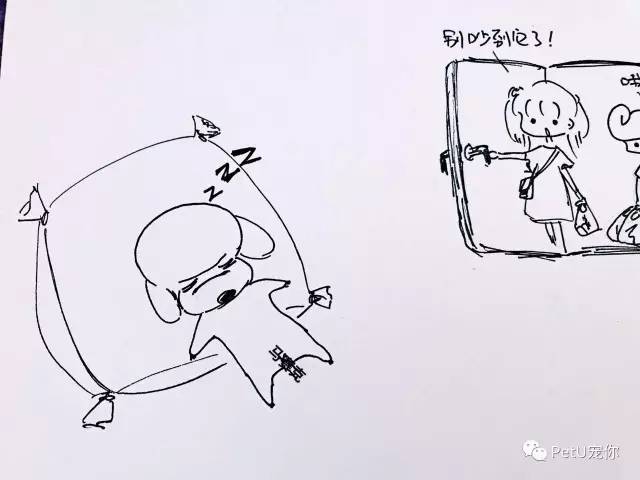 大学里养狗是种什么体验,女朋友养狗家里脏乱差