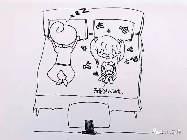 女朋友养狗是一种怎样的体验?