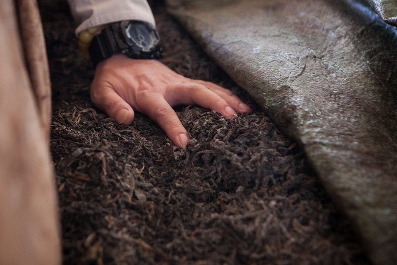 普洱茶陈香和糯香哪个更好喝,普洱熟茶中呈现出陈香特点的物质
