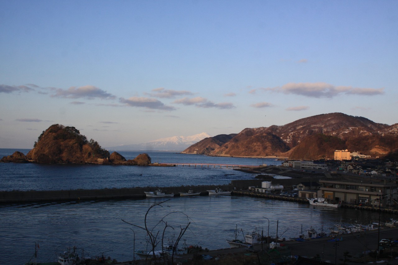 真的红珊瑚是不是很贵,阿卡红珊瑚为什么那么贵