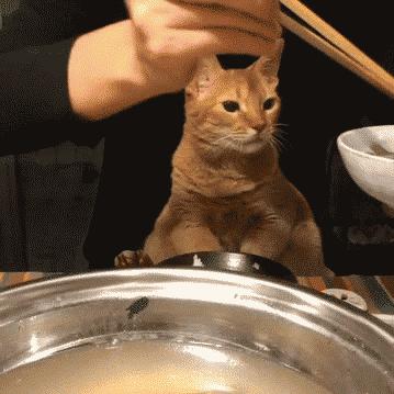 佛前一跪三千年，未见我佛心生怜；莫是尘埃遮佛眼，原是未献香火钱；佛若不贪，为何要世人供奉？