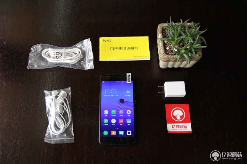 ivviv3璇勬祴,ivvi璇勬祴