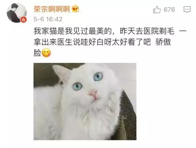 给流浪猫割双眼皮,成都流浪猫手术
