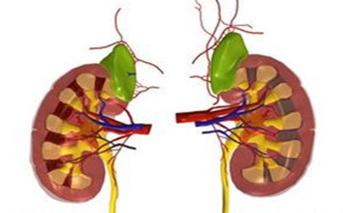 肾病患者激素吃到什么程度，就可以停？权威解答在这里