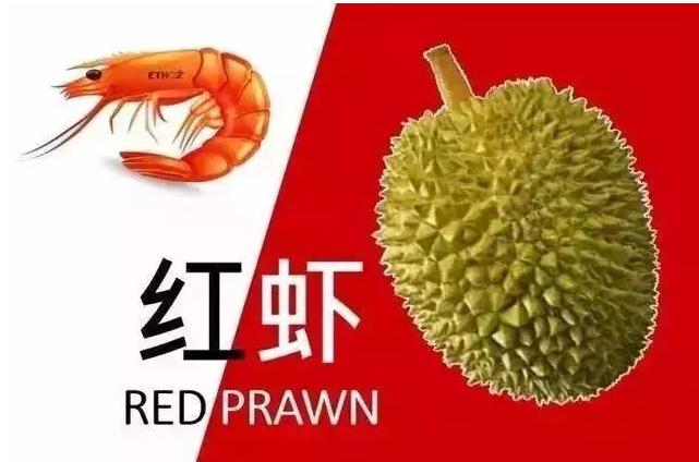 新加坡榴莲多少钱一斤啊,新加坡榴莲价格多少