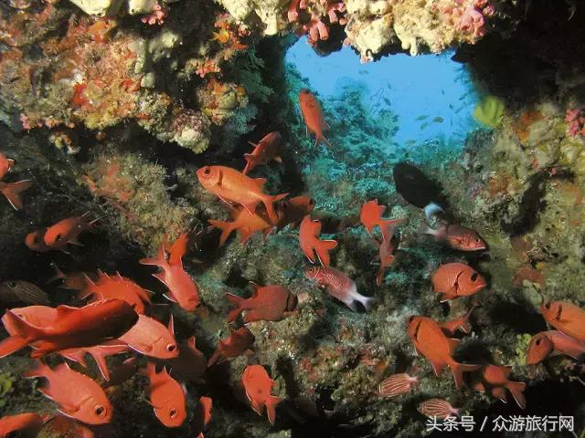 马尔代夫grandpark沙屋水屋,马尔代夫constance酒店