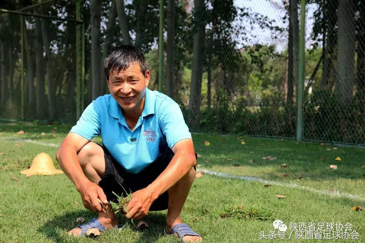 陕西足球背后人物系列丨丈八训练基地绿茵美容师，高温下坚守一线保障场地