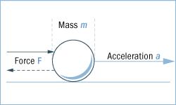 史上最神奇的38个定律,科学减肥的十条定律bbc
