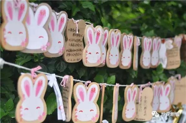 暑假如何玩转邮轮,暑假怎么玩儿