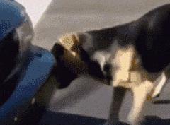 王者手速怎么练,魔方如何练手速