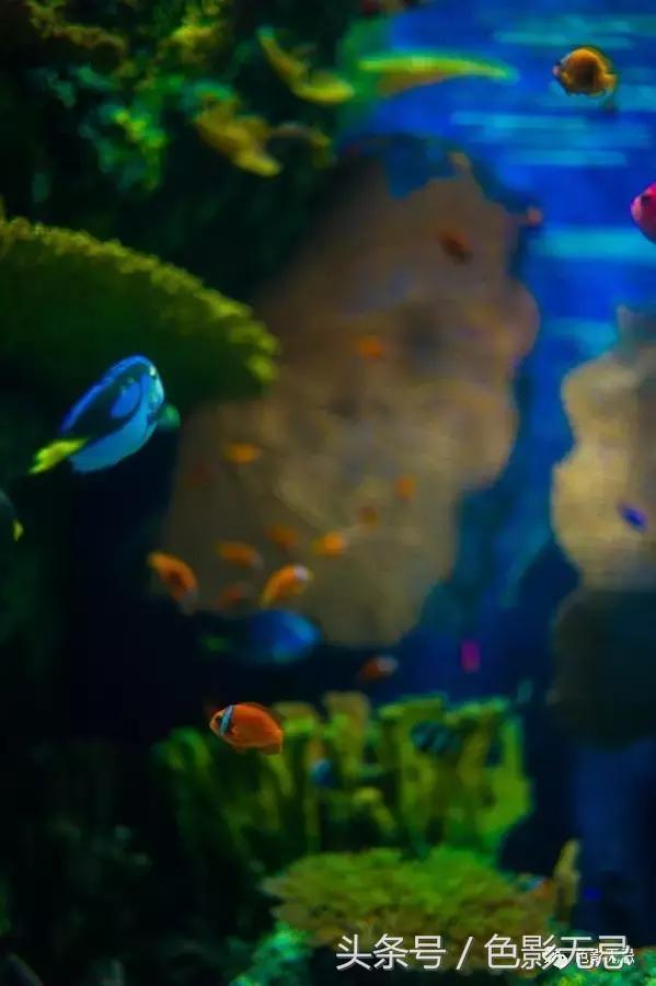 徕卡富士索尼,谈谈徕卡sl24-90