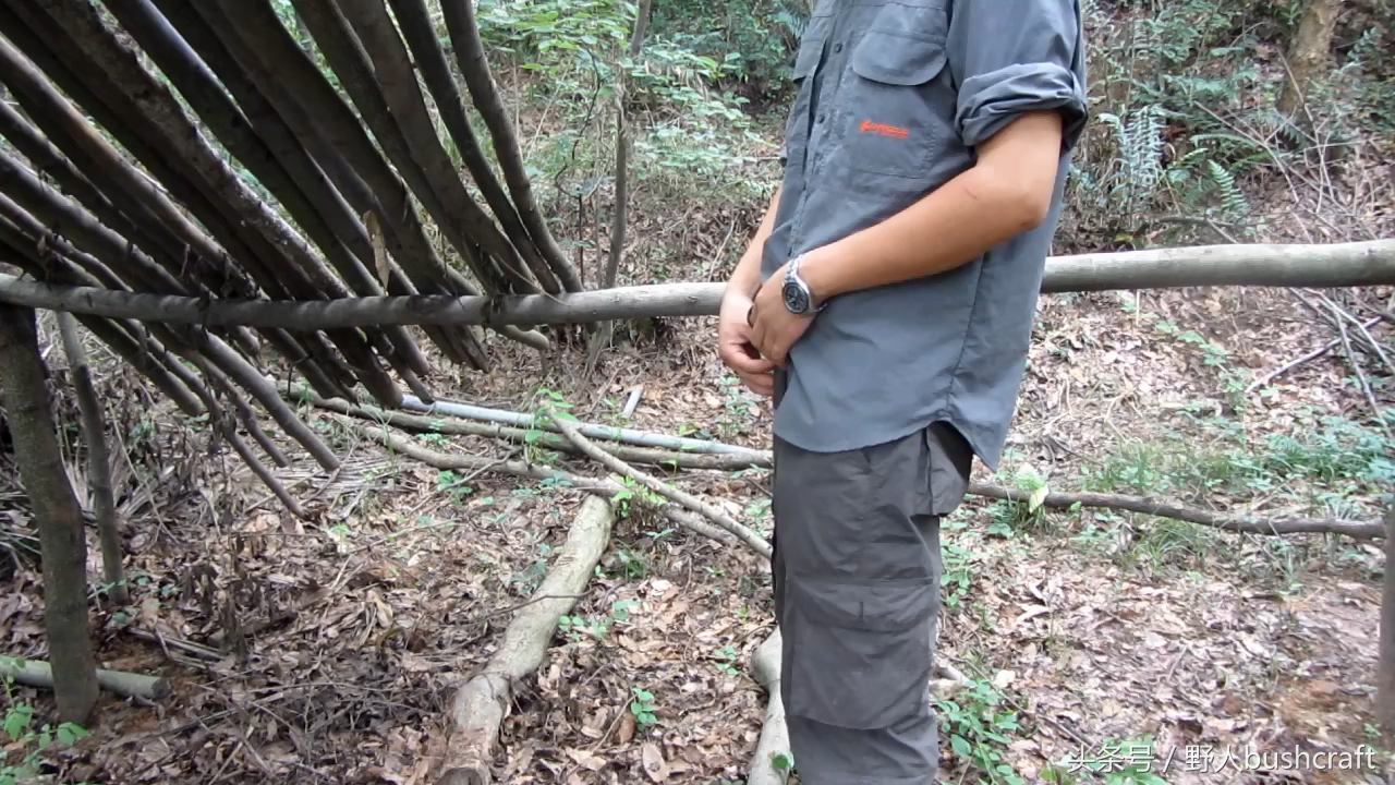 荒野求生徒手杀牛,荒野求生割生肉