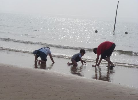 乐亭旅游攻略农家小院,京津冀旅游农家院攻略