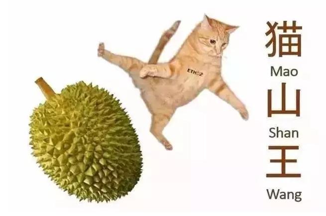 新加坡榴莲多少钱一斤啊,新加坡榴莲价格多少