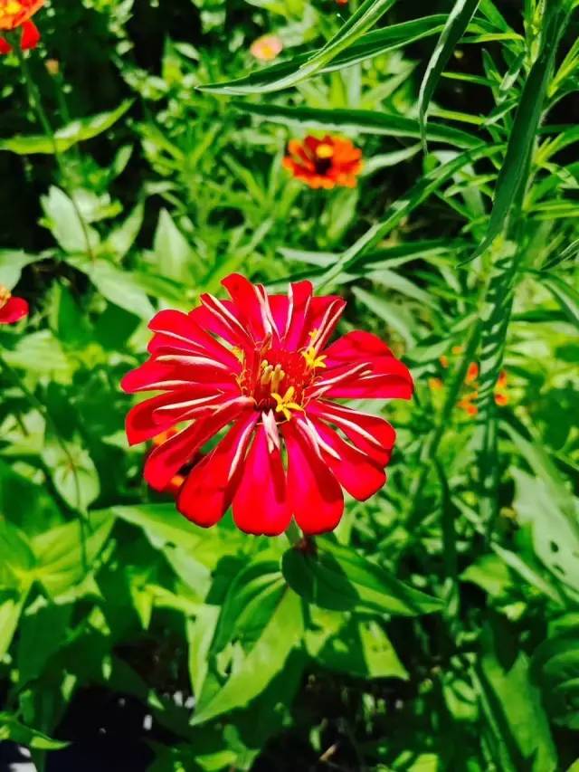 行走山水之间远离城市喧嚣,行走在浙江温州风景