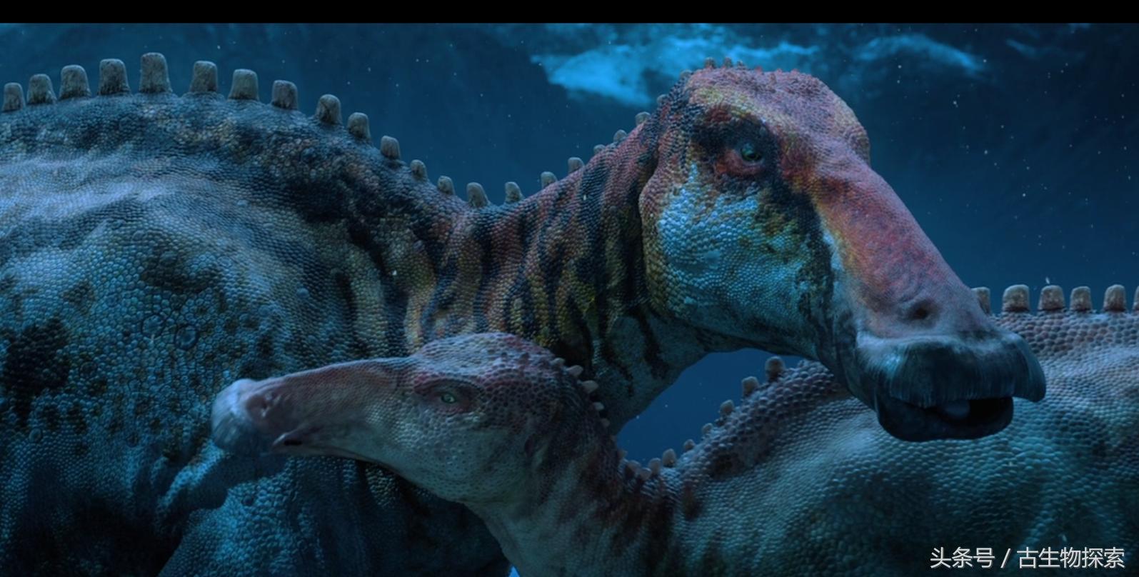 白垩纪的五大暴龙,白垩纪霸王龙是最强吗
