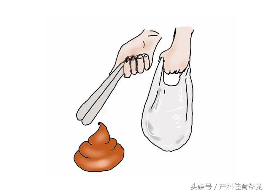 怀孕以后还能养狗吗,怀孕以后还能养狗呗