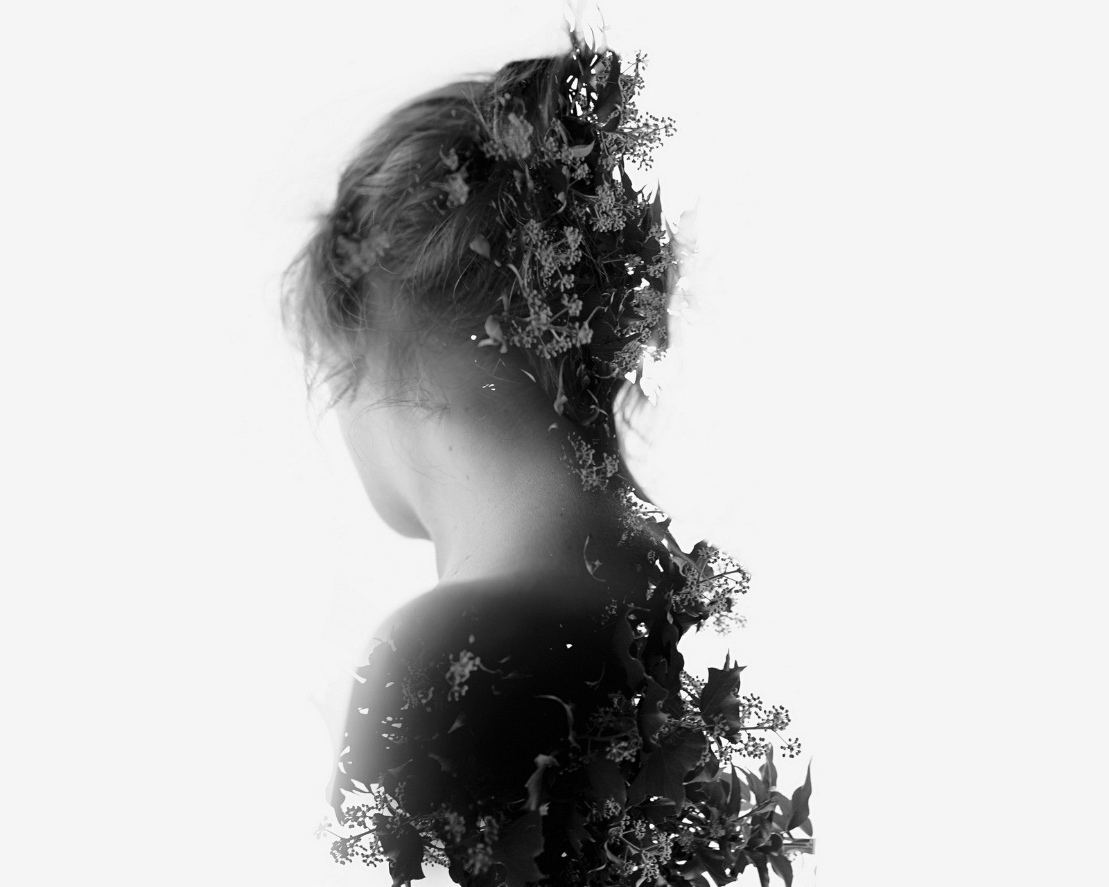 肉蛾天作者,肉蛾天讲了什么