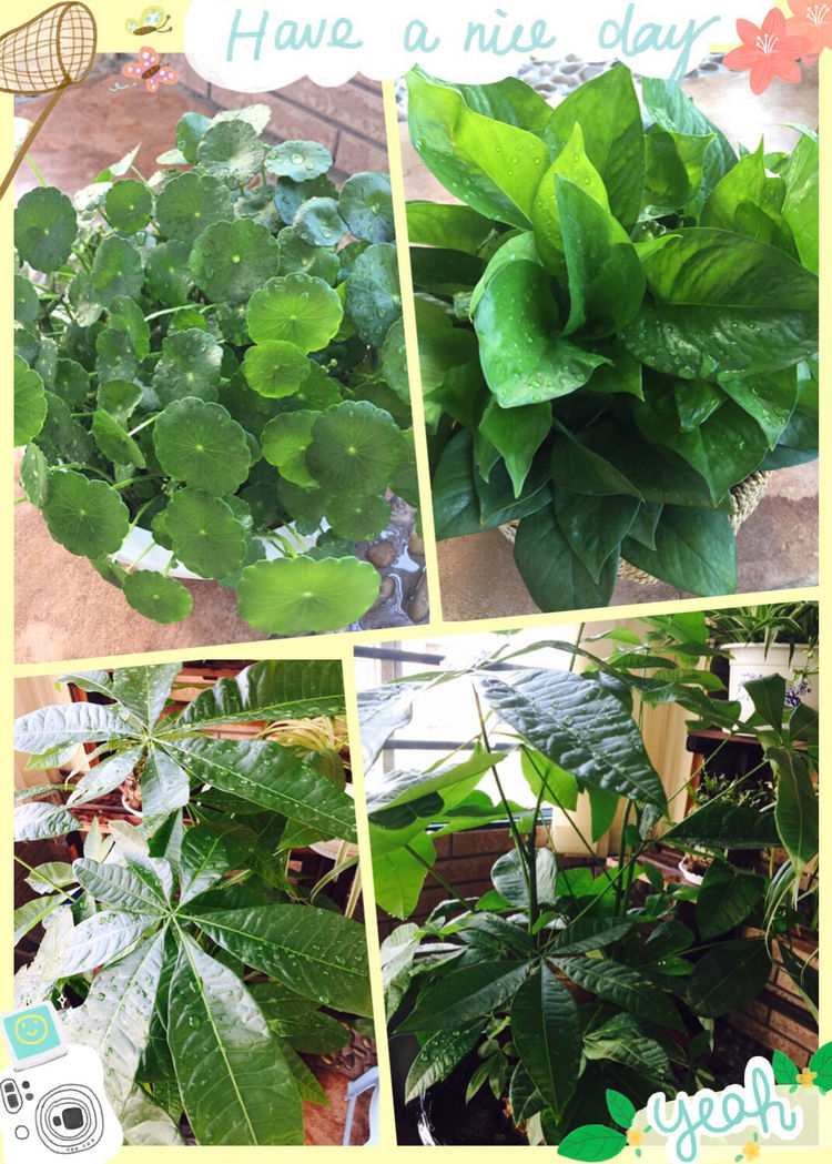 虚度光阴才是最好的状态,虚度时光才是人生的最高境界