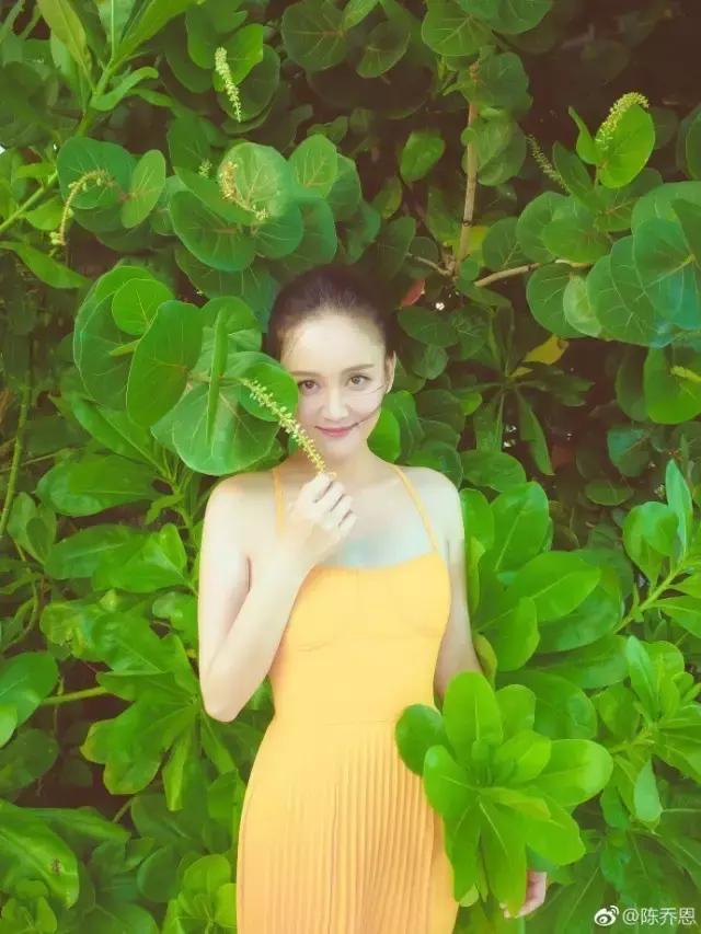 阿娇陈乔恩,阿娇陈乔恩现状