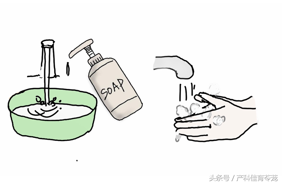 怀孕以后还能养狗吗,怀孕以后还能养狗呗