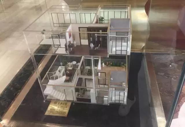 深圳看房龙岗,深圳看房记