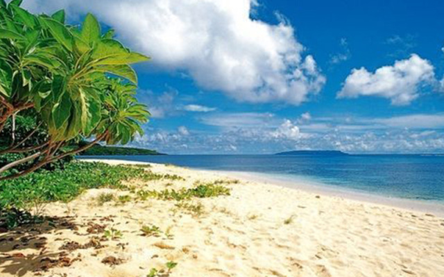 每天的出行安排丰富多彩,每天的行程都很规律