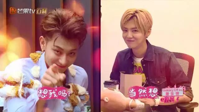 吐槽窦靖童完整版,窦靖童演唱会吐槽大会