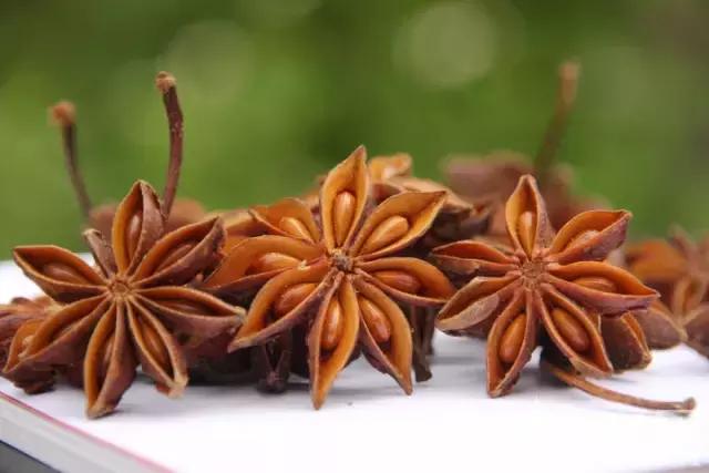 防蚊止痒哪种效果好,防蚊止痒花露水