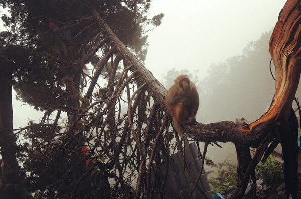 丽江香格里拉风景,从丽江到香格里拉视频