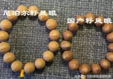 冒充凤眼菩提的核,凤眼菩提啥仿的