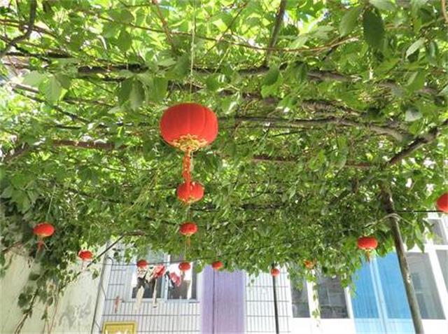 京津冀紫塞农家院攻略,野三坡百里峡农家院哪家好